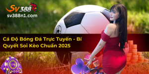 Cá Độ Bóng Đá Trực Tuyến - Bí Quyết Soi Kèo Chuẩn 2025