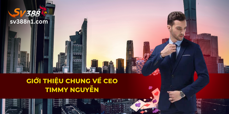 Cùng tìm hiểu giới thiệu chung về CEO Timmy Nguyễn