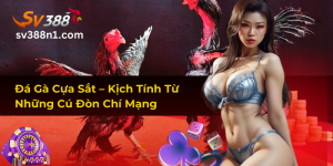 Đá Gà Cựa Sắt – Kịch Tính Từ Những Cú Đòn Chí Mạng