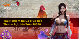 Trải Nghiệm Đá Gà Trực Tiếp Thomo Rực Lửa Trên SV388